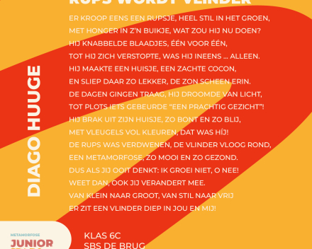 Junior Stadsdichter 2026