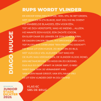 Rups wordt vlinder